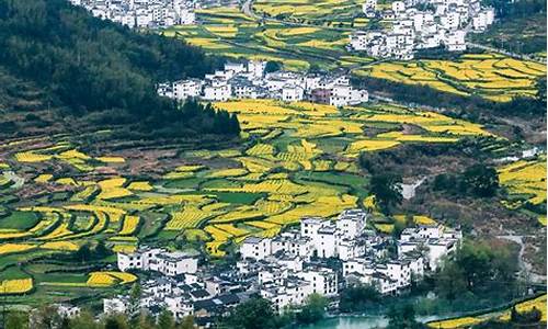 江西婺源最佳旅游季节_江西婺源最佳旅游季