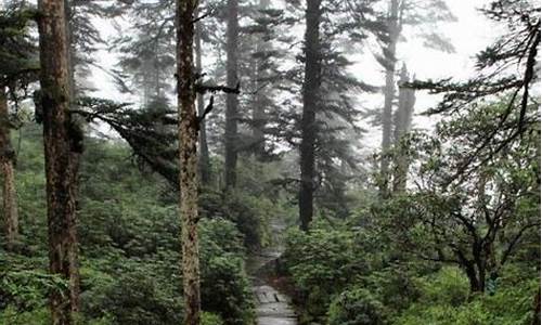 成都洪雅瓦屋山镇天气预报_成都瓦屋山天气预报