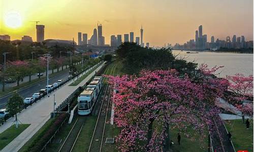 广州天气冬天_广州天气冬天晚上一般几点有露水