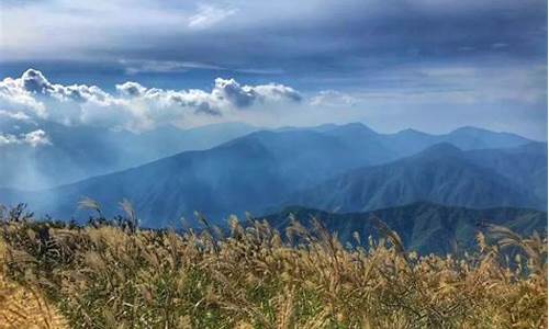 临安天目山天气预报7天查询结果_临安天目山天气