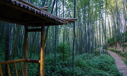 蜀南竹海景区天气_蜀南竹海天气预报15天30天准确