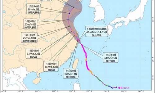 浙江省水利厅台风路径图实时发布信息_浙江省水利厅台风路径