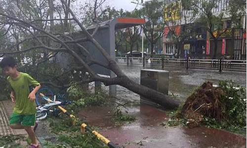 19年台风利奇马台风降水量_19年台风利奇马台风