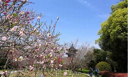 凤城天气预报一周天气_查询凤城天气预报